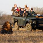 Affordable Safari Tours